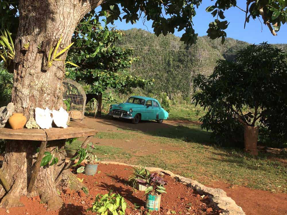 Vista de un jardín cubano con un Chevrolet turquesa estacionado al fondo
